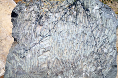0441-Artemis-Temple-S-5