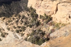 Mesa-Verde-00180