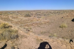 PetrifiedForest-00481