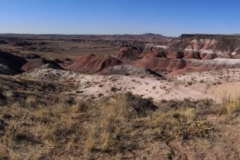 PetrifiedForest-00511