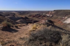 PetrifiedForest-00523