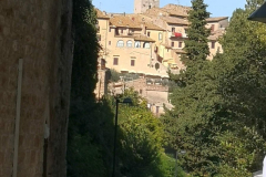 2-San-Gimignano-000056